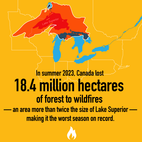 In summer 2023, Canada lost 18.4 million hectares of forest to wildfires — an area more than twice the size of Lake Superior — making it the worst season on record.