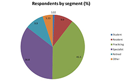 Respondents by segment pie chart